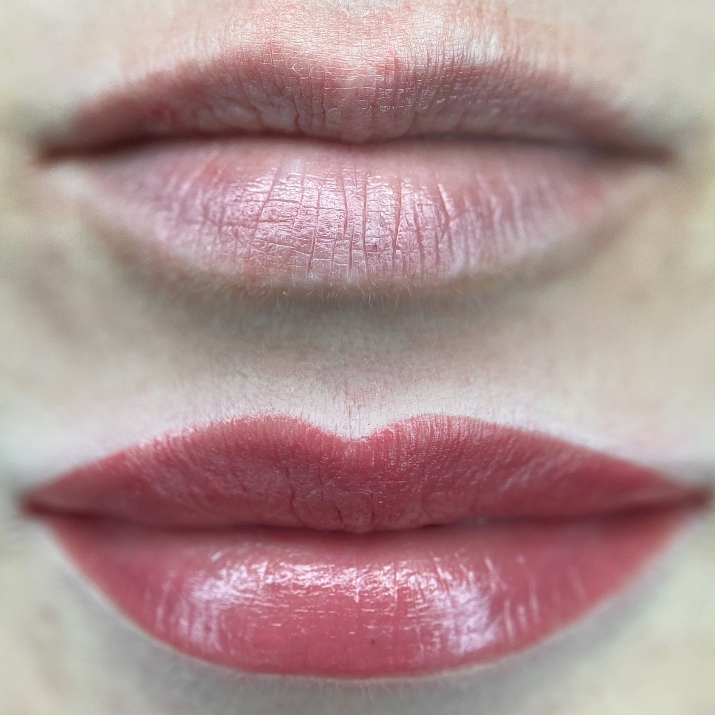 Перманентного макияж губ до и после
